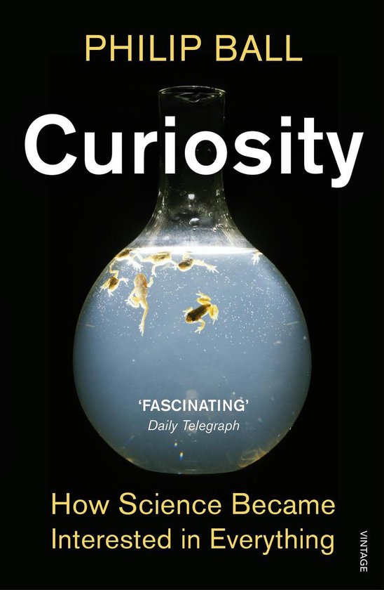 Curiosity - cover