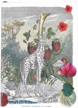 Christian Lacroix Wild Nature A6 6  X 4.25  Softcover Notebook