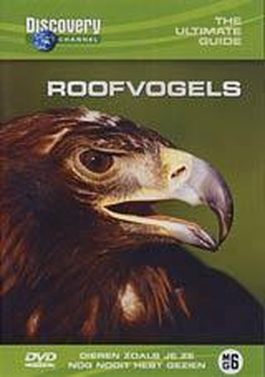 Roofvogels