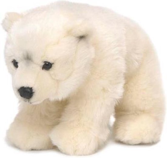 ik lees een boek Dertig hybride Pluche knuffel ijsbeer WNF 30 cm | bol.com