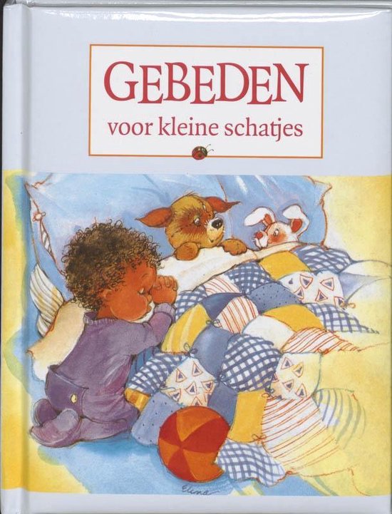 Cover van het boek 'Gebeden voor kleine schatjes' van James C. Galvin