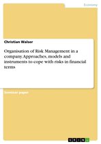 Organisation of Risk Management in a company. Approaches, models and instruments to cope with risks in financial terms