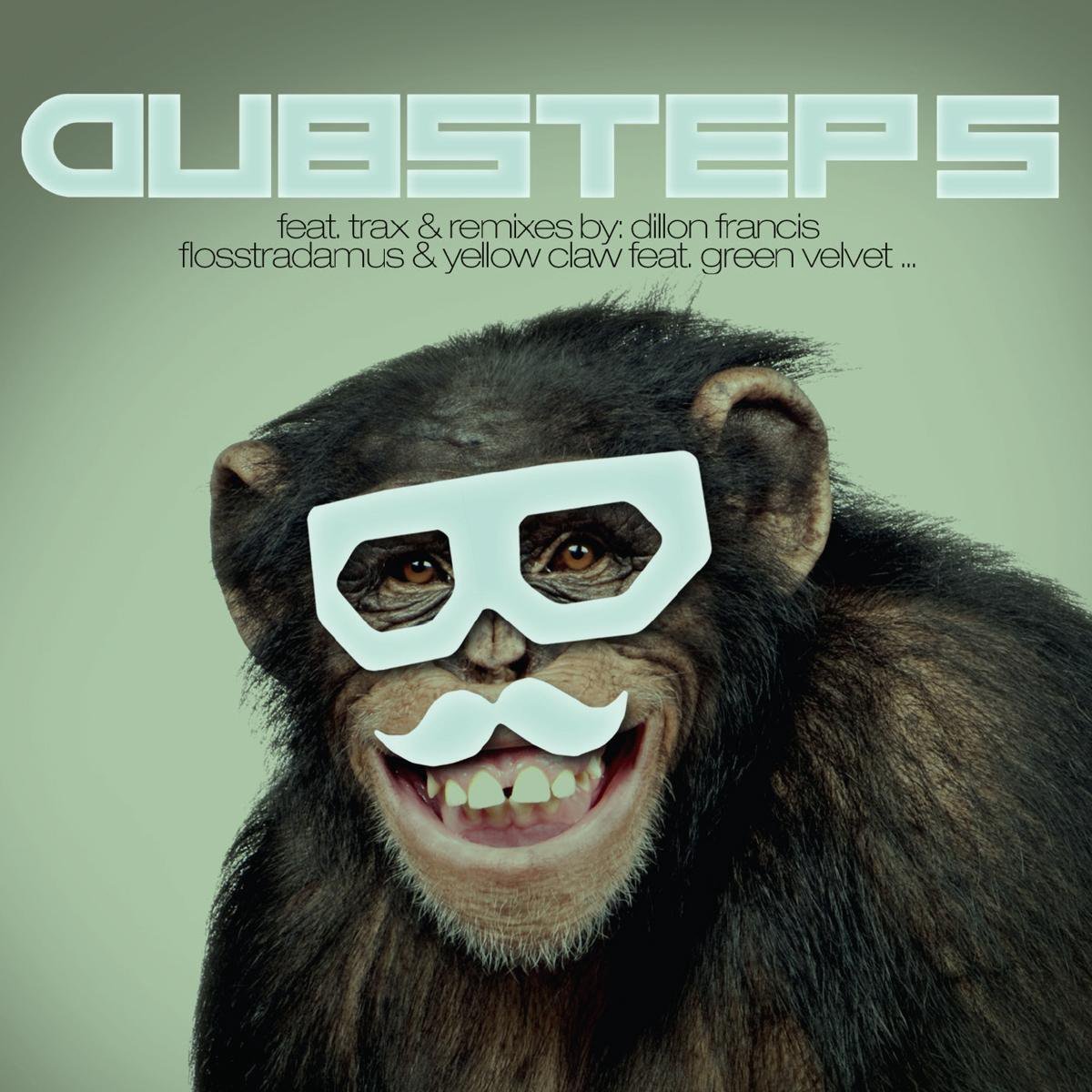 Dubstep, Vol. 5