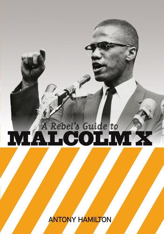 A Rebel's Guide to Malcolm X - cover