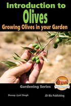 Introduction to Olives: Growing Olives in your Garden