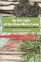 By The Light Of The Glow-worm Lamp