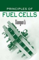 Principles of Fuel Cells