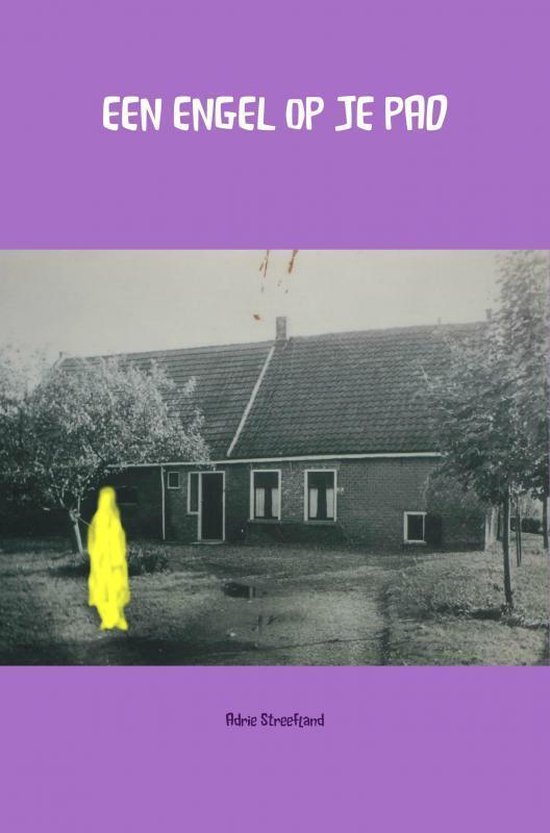 EEN ENGEL OP JE PAD - cover