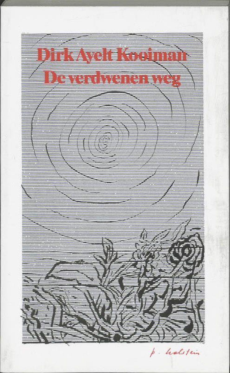 Omslag van De verdwenen weg