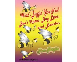 What's Buggin' You Now?