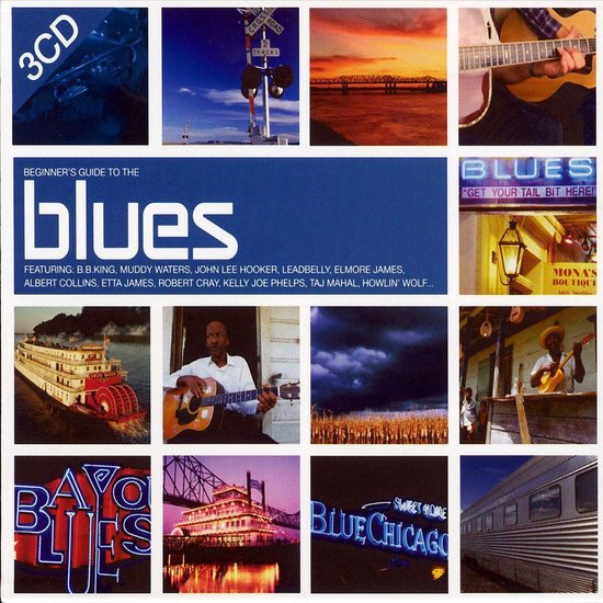 Beginner's Guide to the Blues