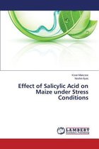 Effect of Salicylic Acid on Maize Under Stress Conditions