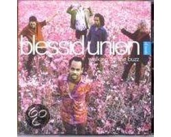 Blessid Union Of Souls - Walking Of The Buzz