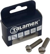 Talamex RVS Bout Cylinderkop met zaagsnede DIN 84
