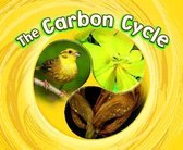 The Carbon Cycle