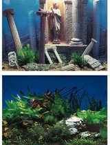 Superfish Poster - Aquarium Deco achterwand 5 - Afmeting: 120 x 49cm