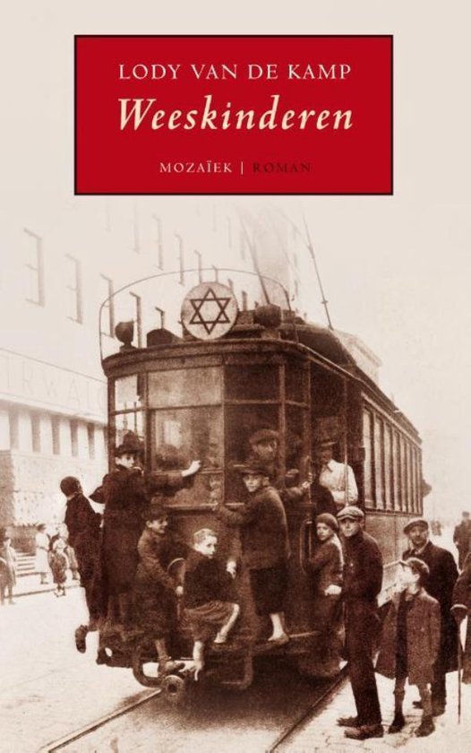 Cover van het boek 'Weeskinderen'