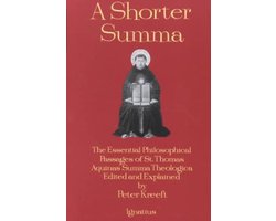 A Shorter Summa