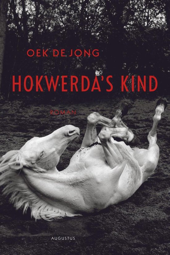 Boek cover Hokwerdas kind van Oek de Jong (Onbekend)