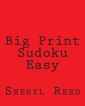 Big Print Sudoku Easy