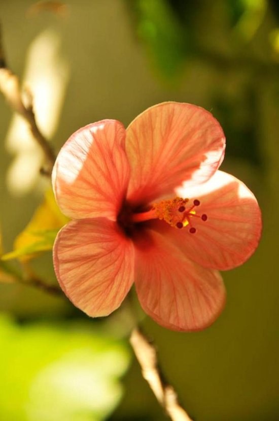 Sister to Sister, Heart to Heart - cover