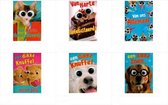 Wenskaart Extra Groot 6 Stuks