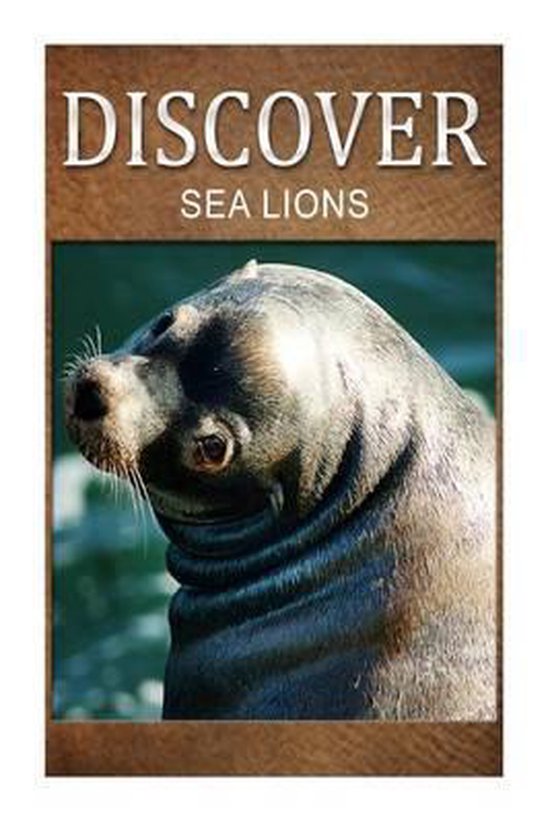 Sea Lion - Discover - cover