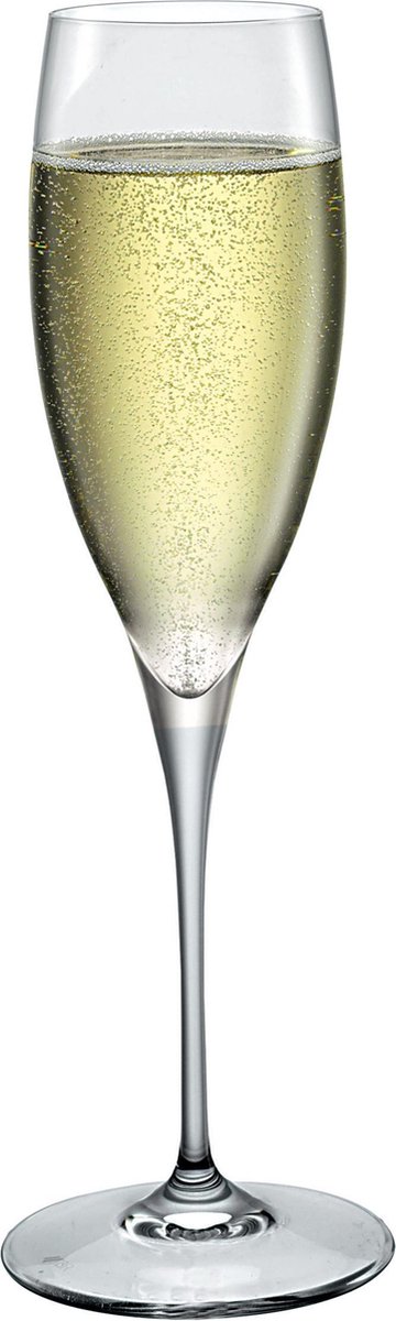 Bormioli Rocco Premium champagneglas - 26 cl - Set-6