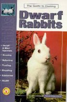 Guide To Owning Dwarf Rabbits