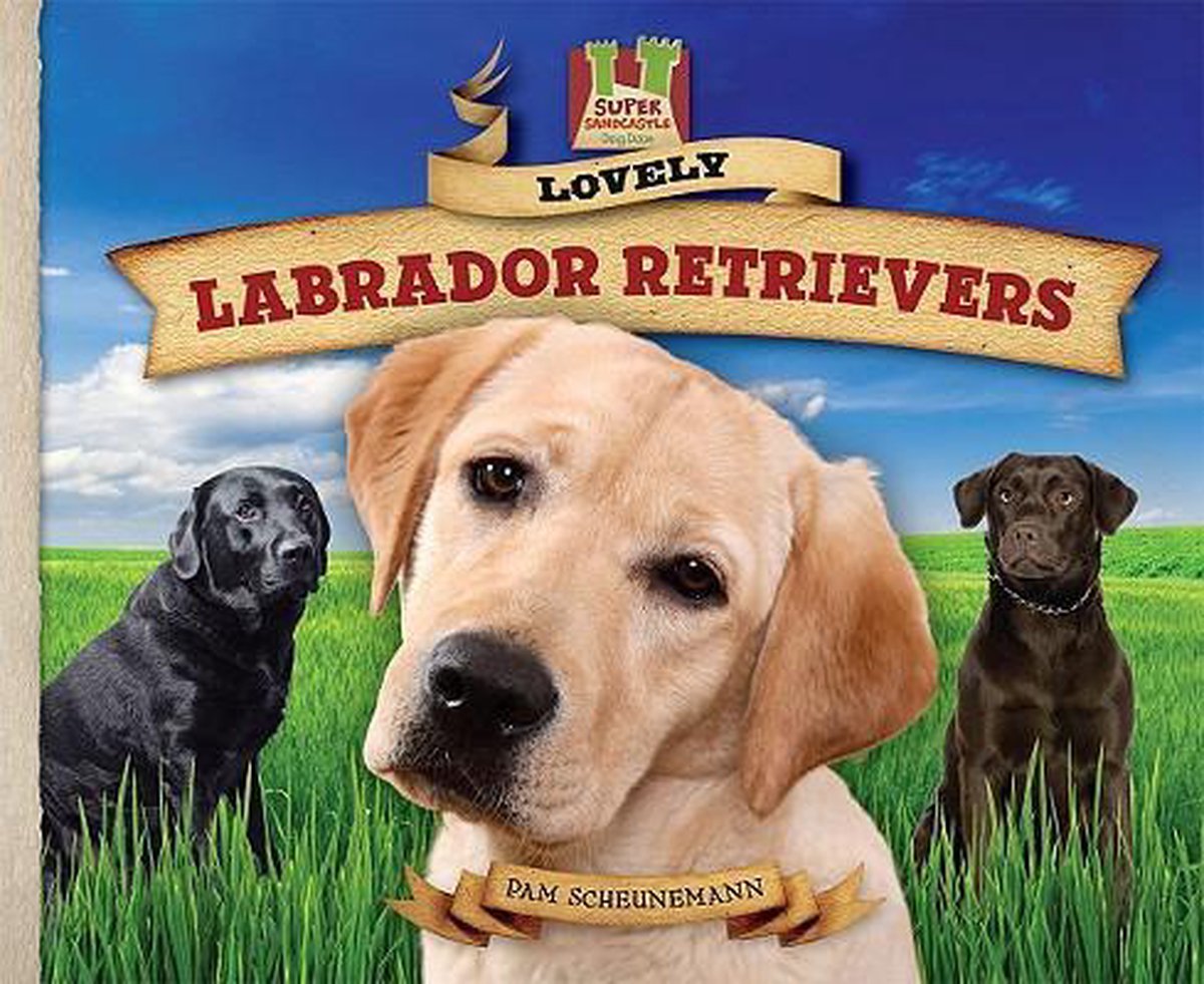 Lovely Labrador Retrievers, Pam Scheunemann | 9781604536188 | Boeken |  bol.com