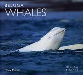 Beluga Whales
