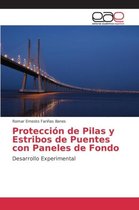 Protección de Pilas y Estribos de Puentes con Paneles de Fondo