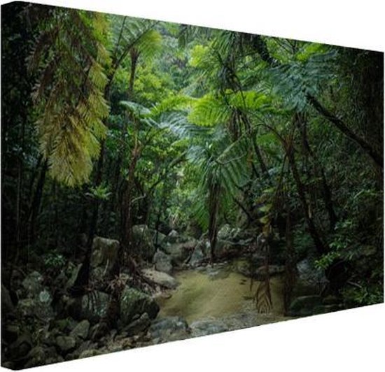 Canvas schilderij 180x120 cm - Wanddecoratie Riviertje in tropische jungle - Muurdecoratie woonkamer - Slaapkamer decoratie - Kamer accessoires - Schilderijen