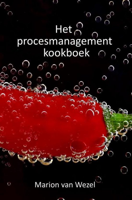 Het procesmanagement kookboek - Marion van Wezel | Northernlights300.org