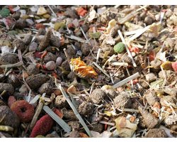 Schildpaddenvoer Mix - Voor Alle Landschildpadden - 1 Liter
