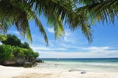 Tuinposter - Palmbladeren en strand