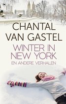Winter in New York en andere verhalen