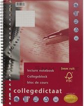 Collegedictaat A4 Ruit 5mm 23-rings Multo