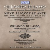 Paolo Tognon, Claudio Vehr - Di Lasso: Cantiones Duarum Vocum (CD)
