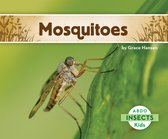 Insects - Mosquitoes