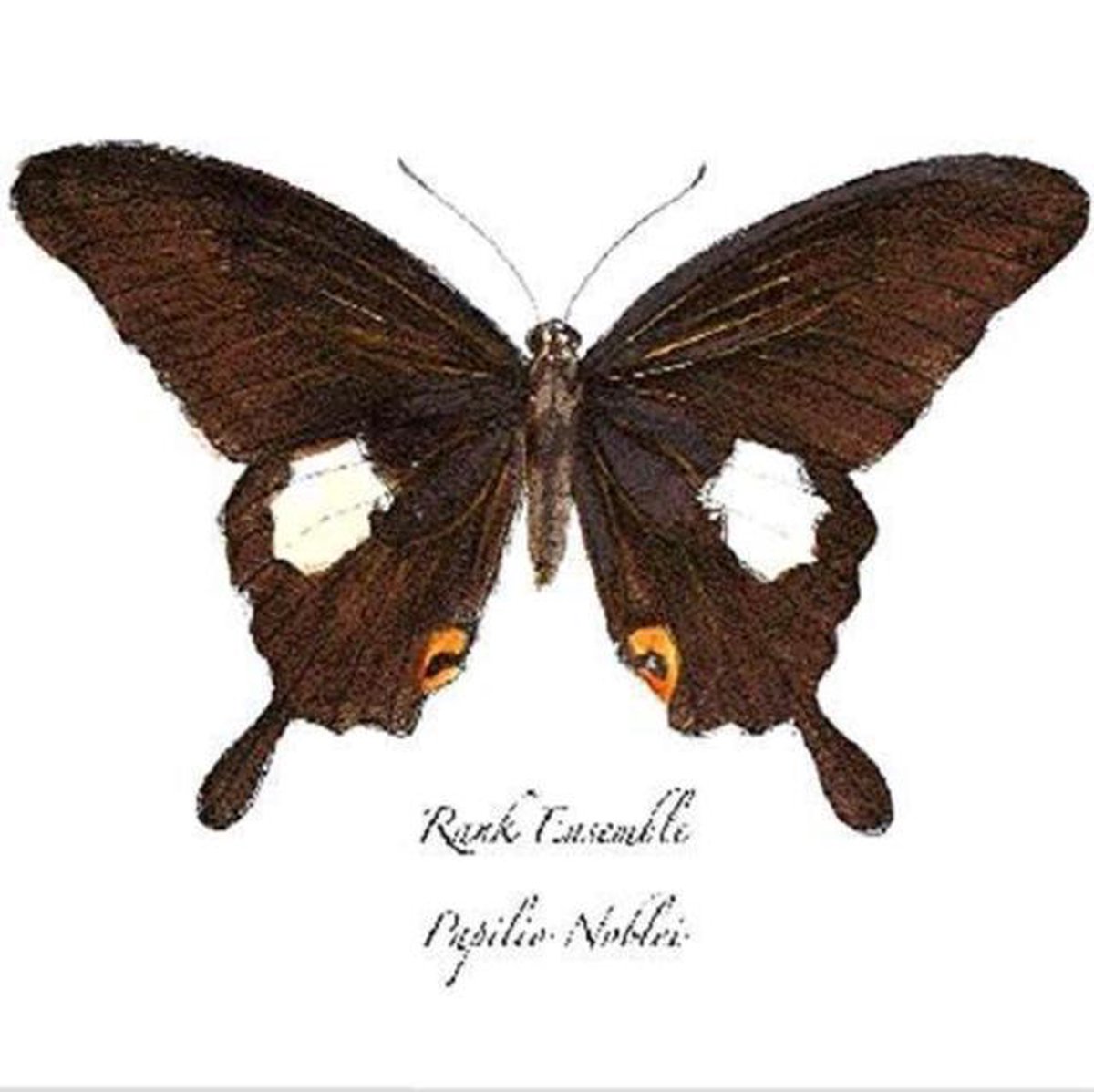 Rank Ensemble - Papilio Noblei (CD)