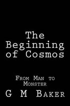 The Beginning of Cosmos