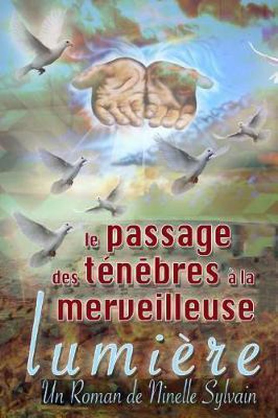 Le Passage Des T N Bres La Merveilleuse Lumi Re Ninelle Sylvain 