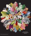 Plant Exploring The Botanical World