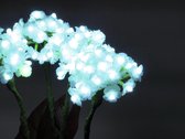 Europalms Hydrangea, white, met flowers, 100 LEDs