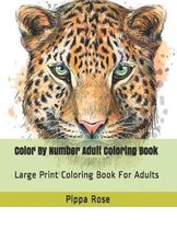 Color By Number Adult Coloring Book