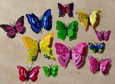 Dubbele random 3D-vlinders