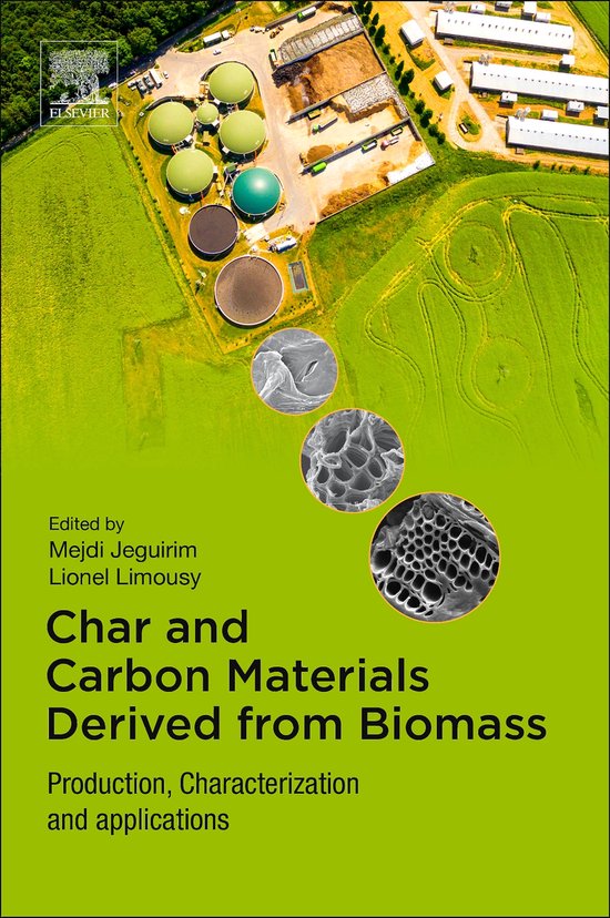 Char and Carbon Materials Derived from Biomass (ebook) | 9780128148945 ...