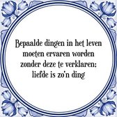 Tegeltje met Spreuk (Tegeltjeswijsheid): Bepaalde dingen in het leven moeten ervaren worden zonder deze te verklaren; liefde is zo'n ding + Kado verpakking & Plakhanger