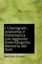 I Chetognati. Anatomia E Sistematica Con Aggiunte Embriologiche. Memoria del Dott